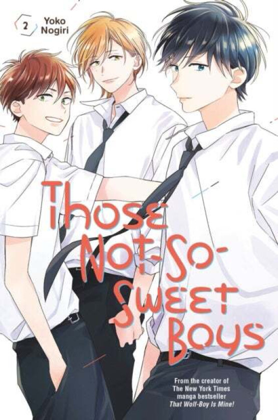 Those Not-So-Sweet Boys 2 av Yoko Nogiri