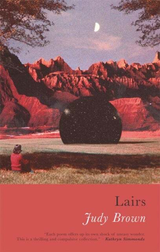 Lairs av Judy Brown