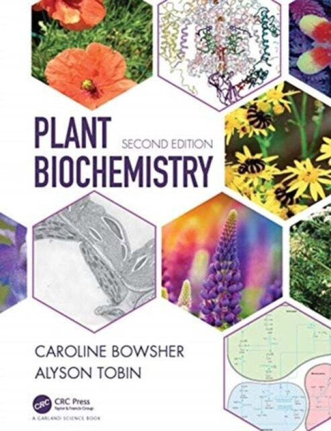 Plant Biochemistry av Caroline (University of Manchester UK) Bowsher, Alyson Tobin