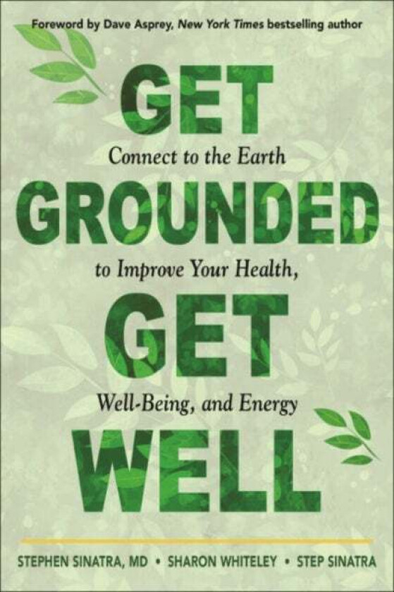 Get Grounded, Get Well av Stephen T. M.D. (Stephen T. Sinatra) Sinatra, Sharon (Sharon Whiteley) Whiteley, Step (Step Sinatra) Sinatra