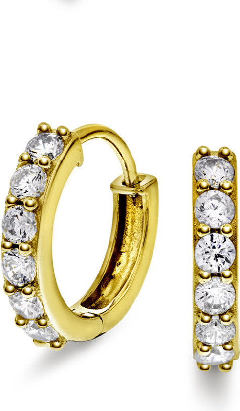 , Øreringer i 925 forgylt sølv med zirkonia