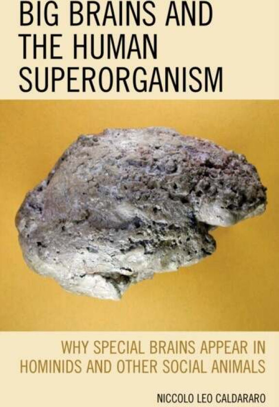 Big Brains and the Human Superorganism av Niccolo Leo Caldararo