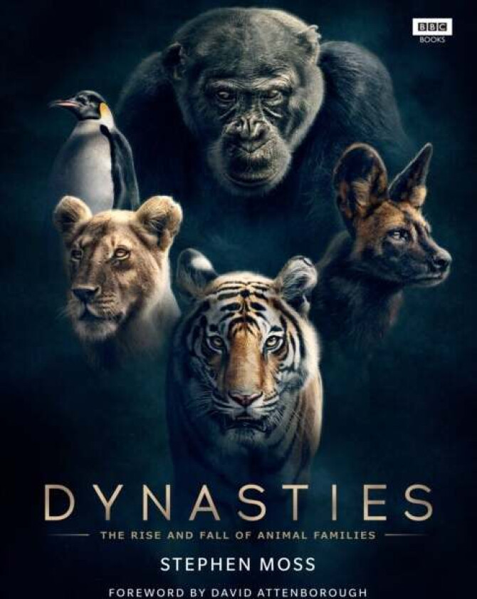 Dynasties av Stephen Moss