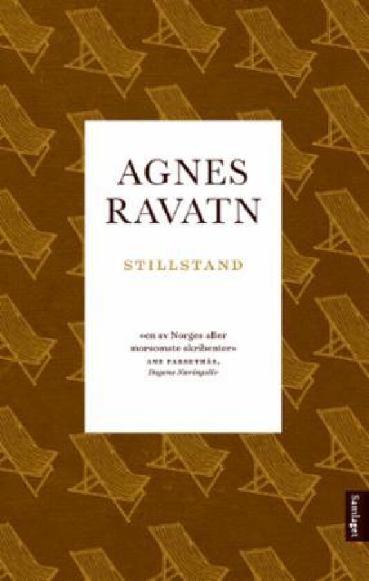 Stillstand av Agnes Ravatn