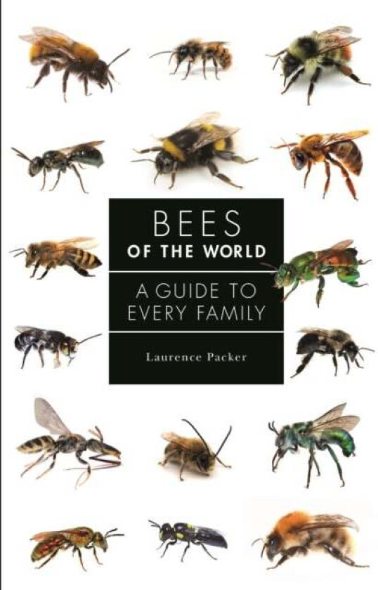 Bees of the World av Laurence Packer