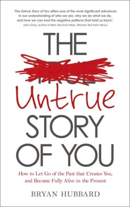 The Untrue Story of You av Bryan Hubbard