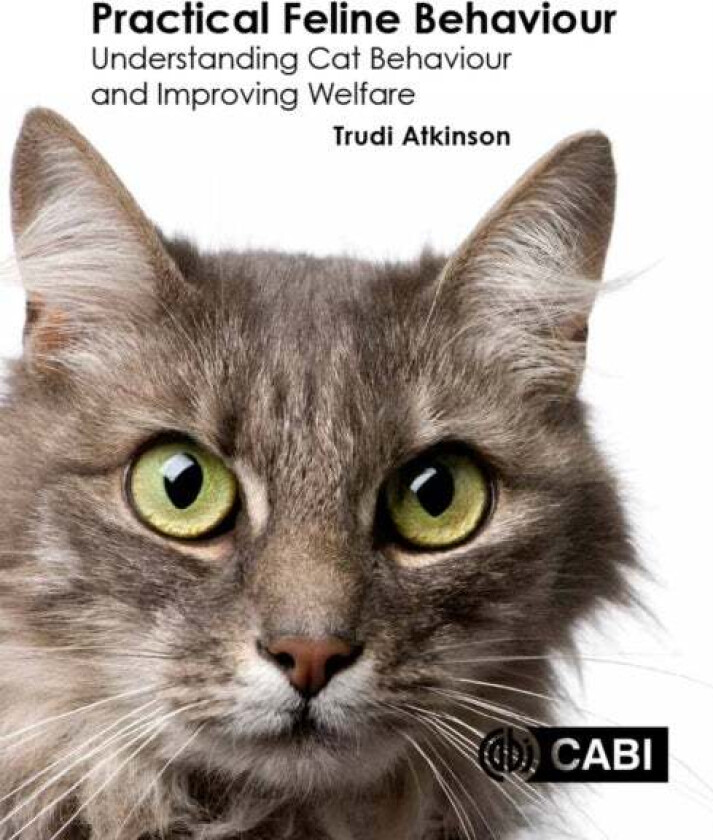 Practical Feline Behaviour av Trudi (Clinical Animal Behaviourist UK) Atkinson