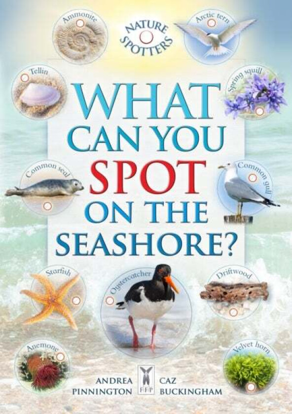 What Can You Spot on the Seashore? av Caz Buckingham, Ben Hoare, Andrea Pinnington