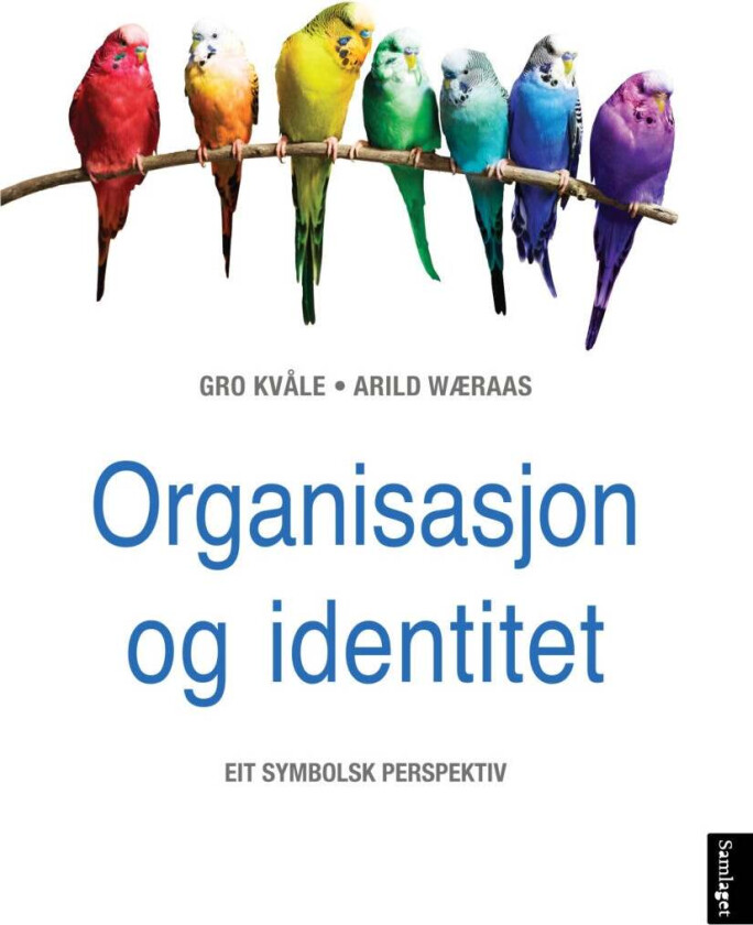 Organisasjon og identitet av Gro Kvåle, Arild Wæraas