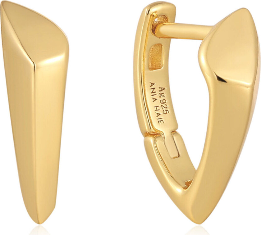 Bilde av , Creoler i forgylt 925 sølv med pildesign