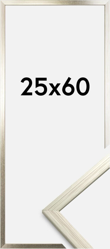 Ramme Edsbyn Sølv 25x60 Cm