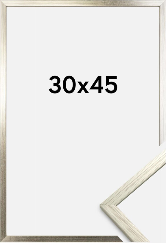 Ramme Edsbyn Sølv 30x45 Cm