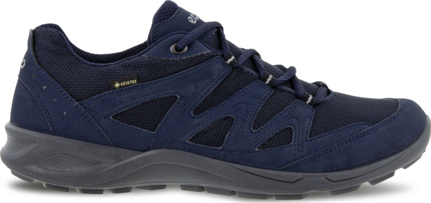 Ecco Men's Terracruise LT Low Gore-Tex 46, Night Sky
