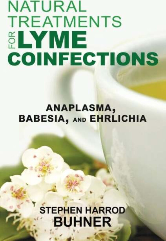 Natural Treatments for Lyme Coinfections av Stephen Harrod Buhner