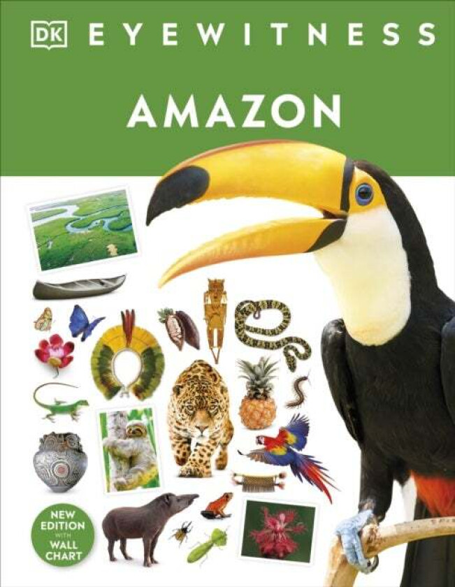 Amazon av DK
