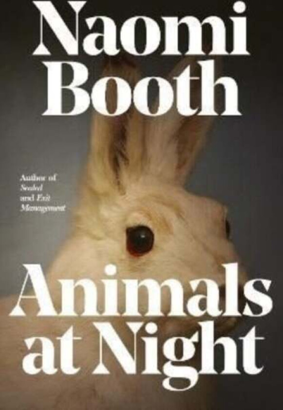 Animals at Night av Naomi Booth