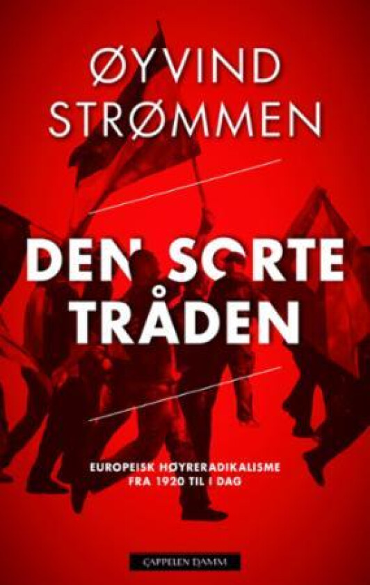 Den sorte tråden av Øyvind Strømmen