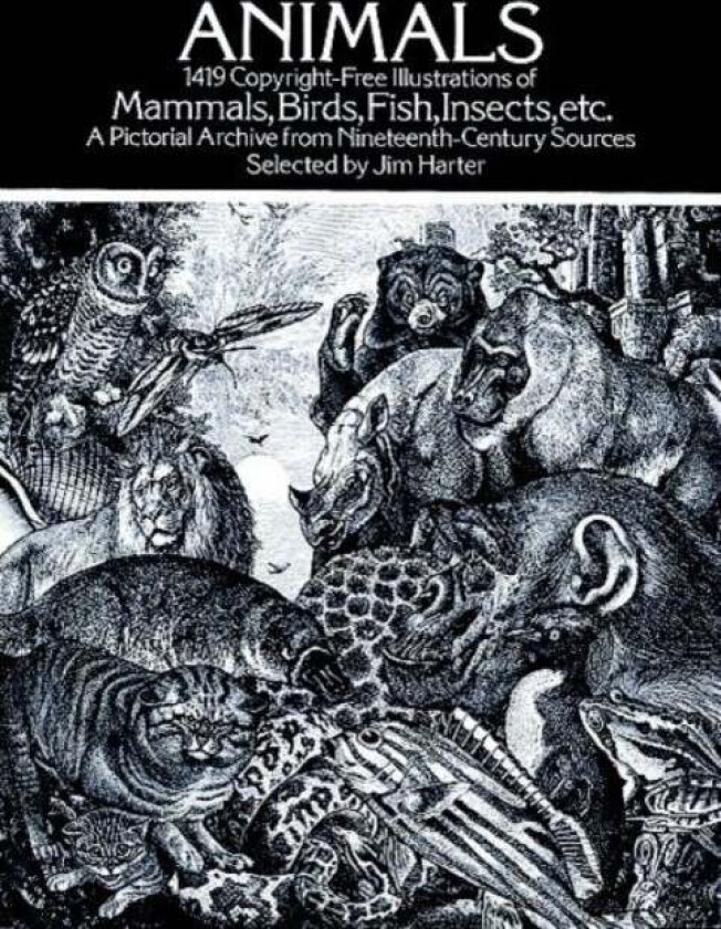 Animals