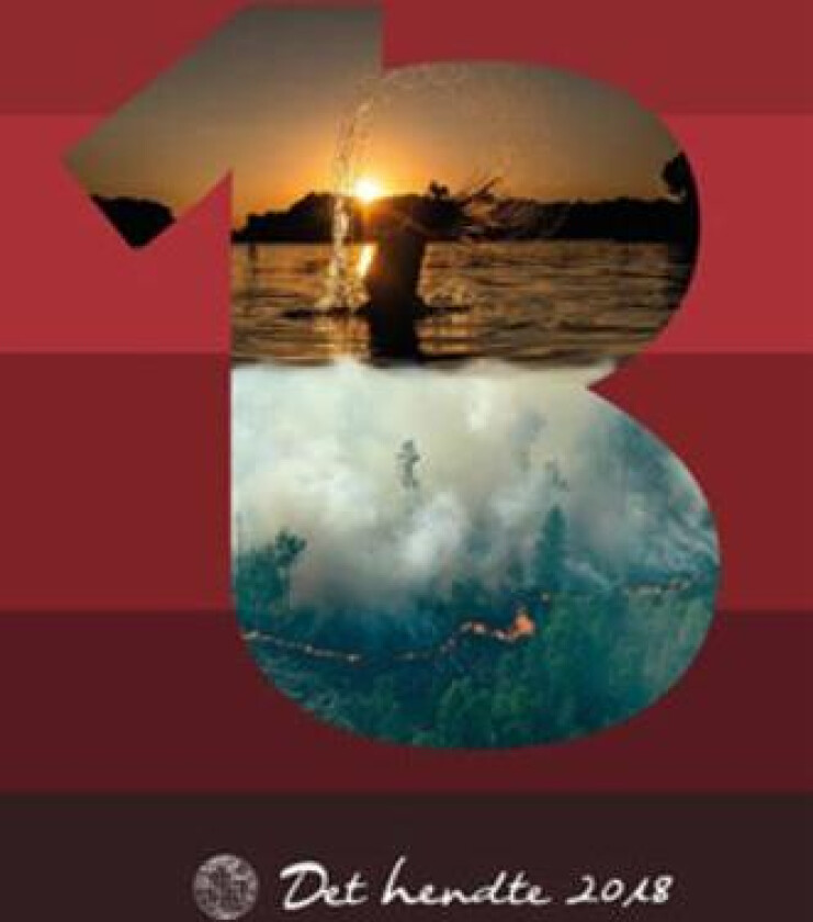 Det hendte 2018
