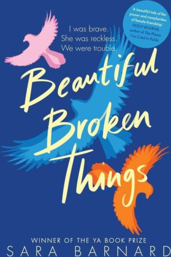 Beautiful Broken Things av Sara Barnard