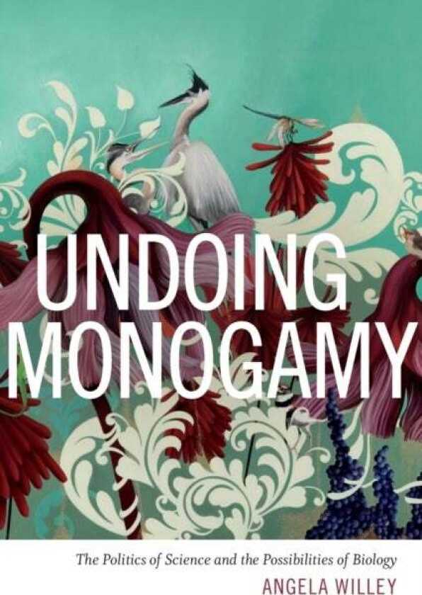 Undoing Monogamy av Angela Willey