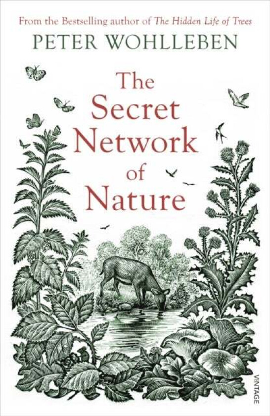 The Secret Network of Nature av Peter Wohlleben