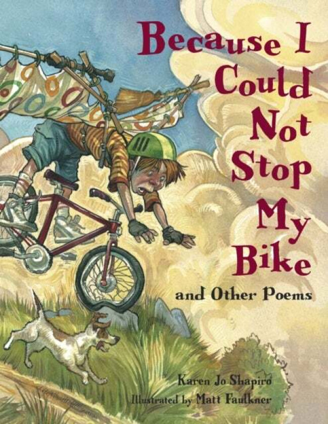Because I Could Not Stop My Bike av Karen Jo Shapiro