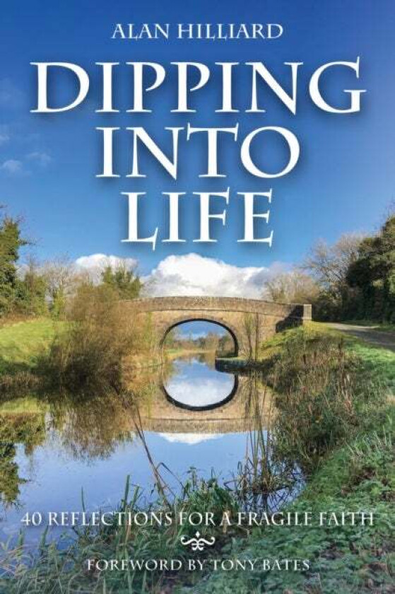 Dipping into Life av Alan Hilliard