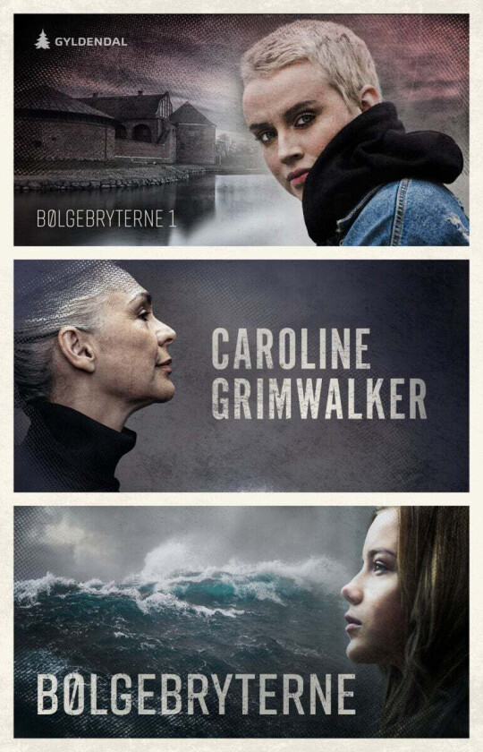 Bølgebryterne av Caroline Grimwalker