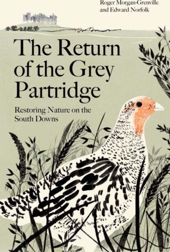 The Return of the Grey Partridge av Roger Morgan-Grenville, Edward (author) Norfolk