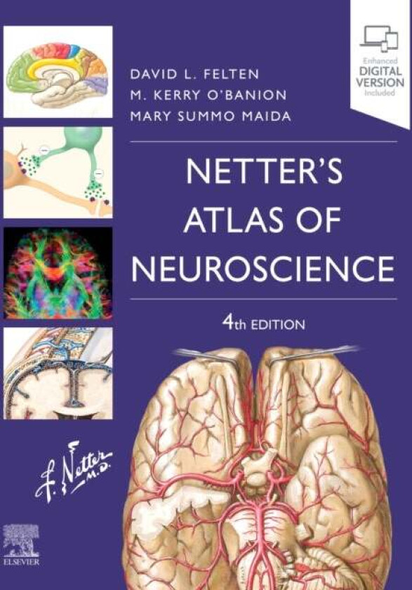 Netter's Atlas of Neuroscience av David L. (Associate Dean of Clinical Sciences University of Medicine and Health New York New York) Felten, Mich
