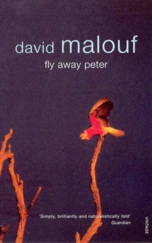 Fly Away Peter av David Malouf