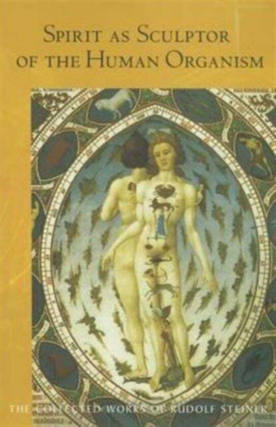 Spirit as Sculptor of the Human Organism av Rudolf Steiner