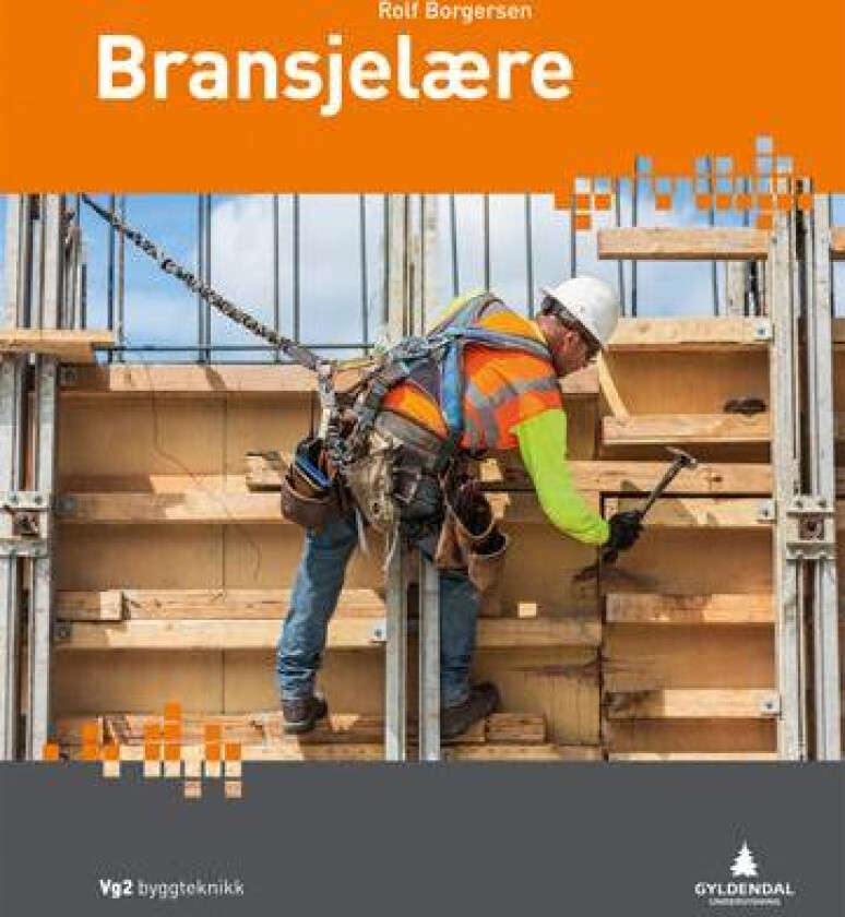 Bransjelære av Rolf Borgersen