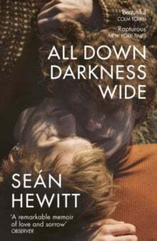 All Down Darkness Wide av Seán Hewitt