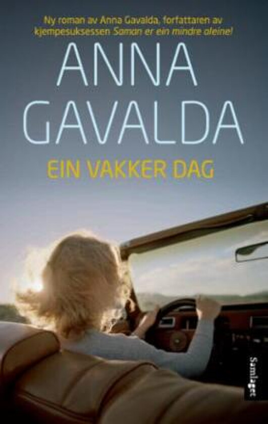 Ein vakker dag av Anna Gavalda
