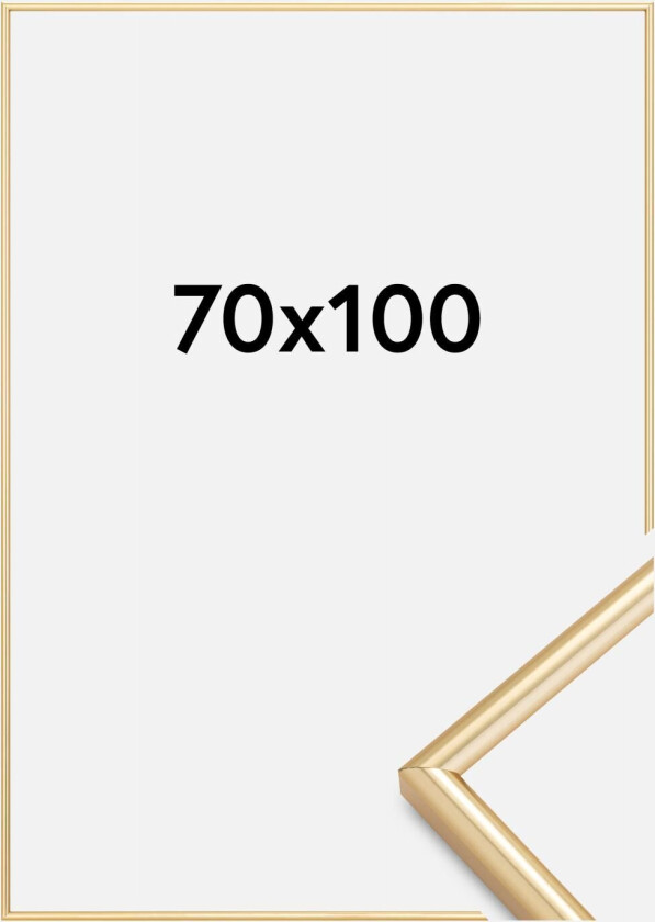 Ramme Galeria Gull 70x100 Cm
