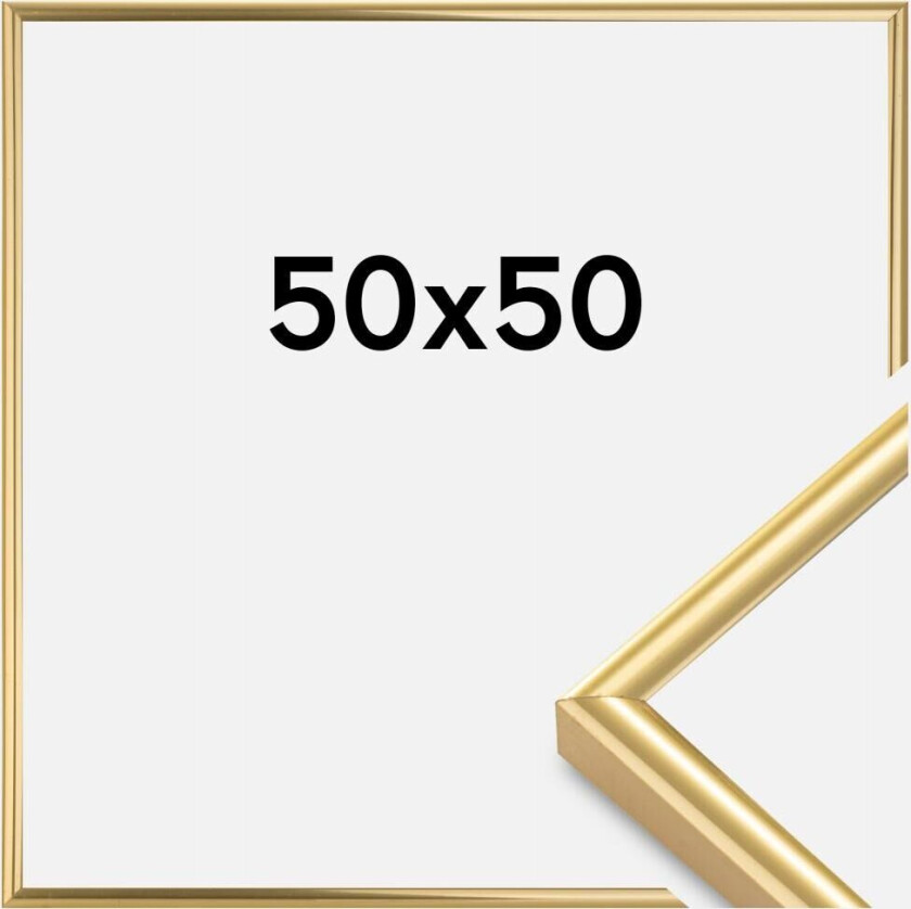 Ramme Victoria Akrylglass Gull 50x50 Cm