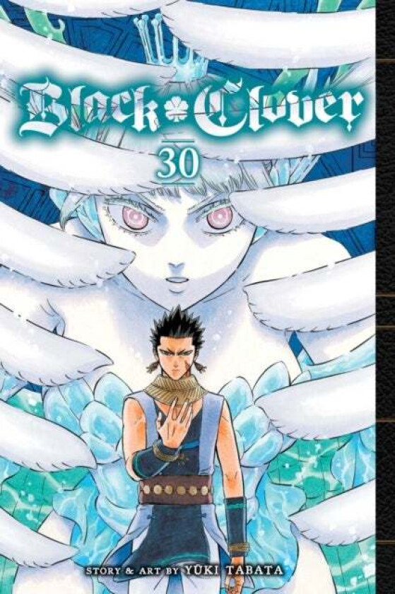 Black Clover, Vol. 30 av Yuki Tabata