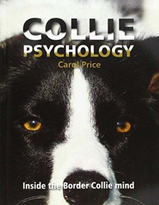 Collie Psychology av Carol Price