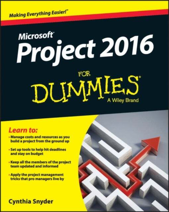 Project 2016 For Dummies av Cynthia (Web Developer) Snyder Dionisio