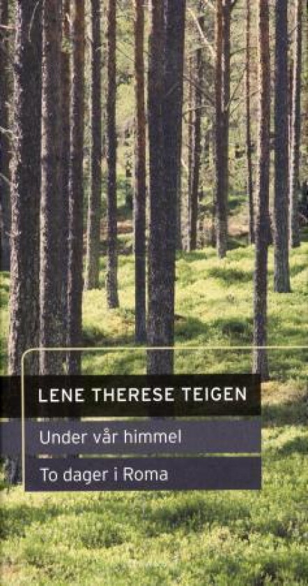 Under vår himmel ; To dager i Roma av Lene Therese Teigen