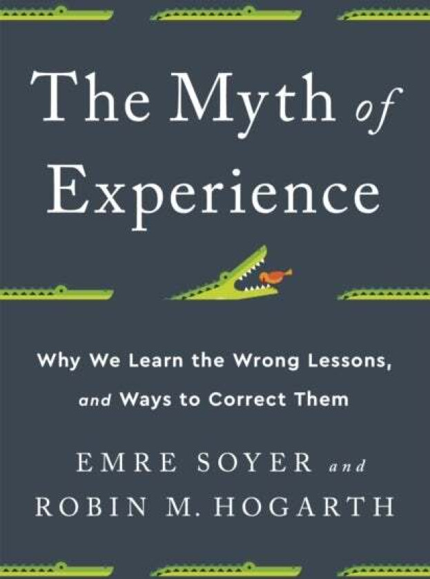 The Myth of Experience av Emre Soyer, Robin M Hogarth