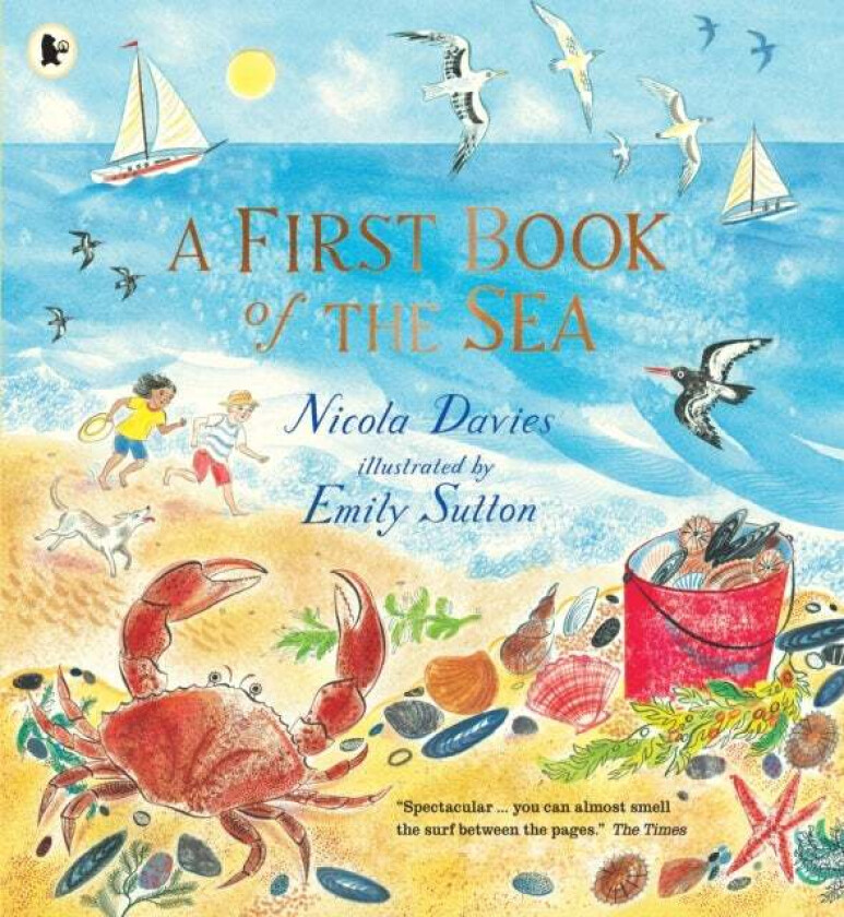 A First Book of the Sea av Nicola Davies
