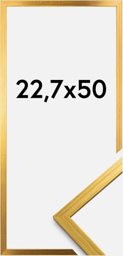 Ramme Edsbyn Akrylglass Gull 22,7x50 Cm