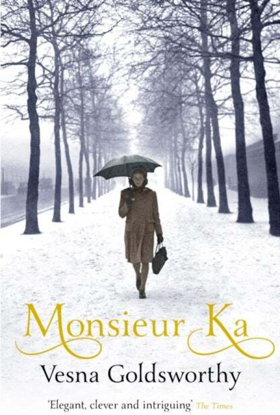 Monsieur Ka av Vesna Goldsworthy