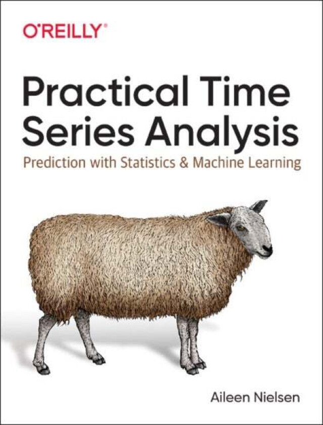 Practical Time Series Analysis av Aileen Nielsen
