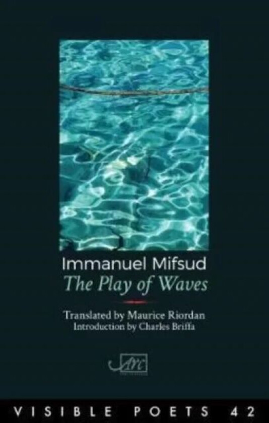 The Play of Waves av Immanuel Mifsud