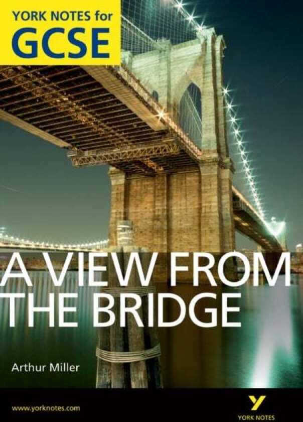 A View From The Bridge: York Notes for GCSE (Grades A*-G) av Shay Daly