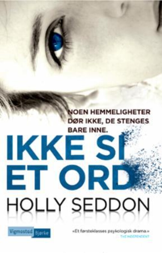 Ikke si et ord av Holly Seddon
